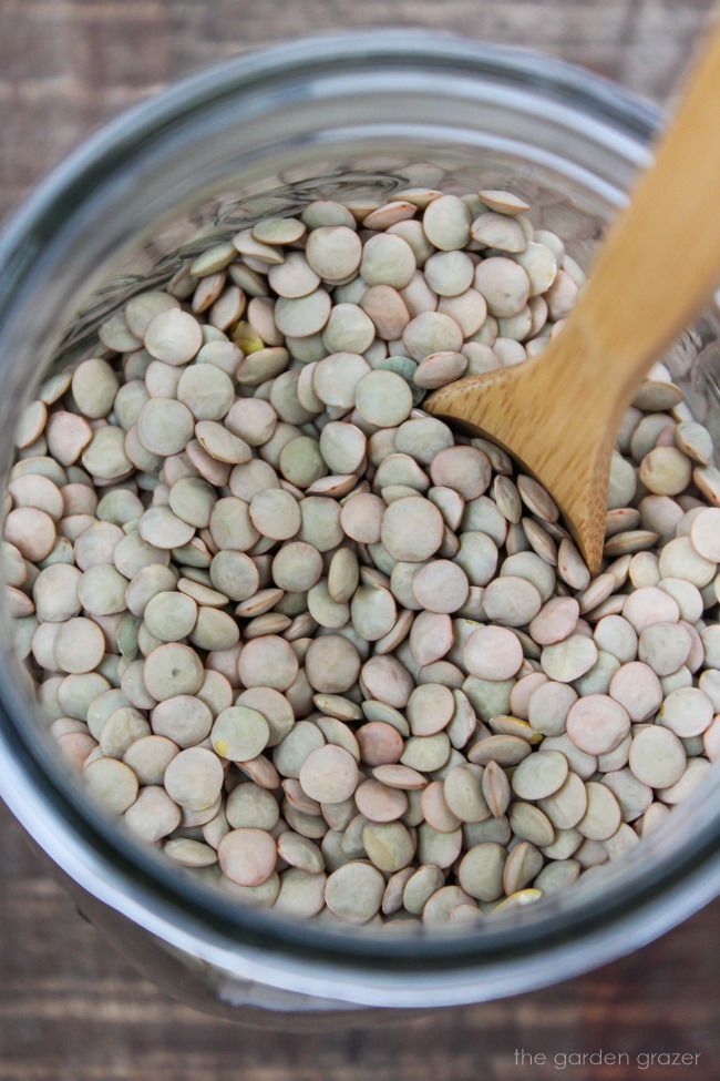 Dry brown lentils in a glass jar with wooden spoon