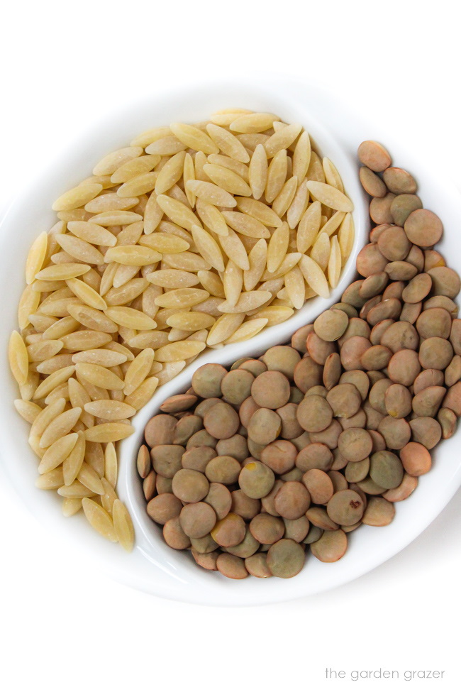 Dry brown lentils and orzo pasta in a white bowl