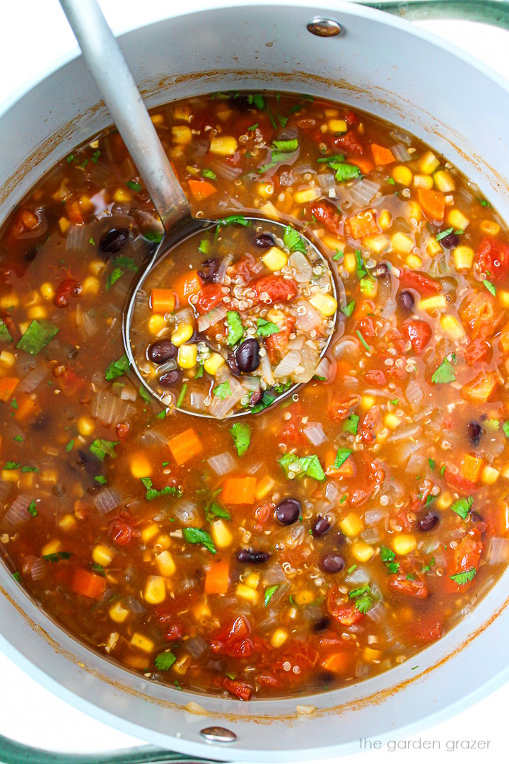 Overhead view of ladle lifting up some vegan black bean quinoa soup from a large pot