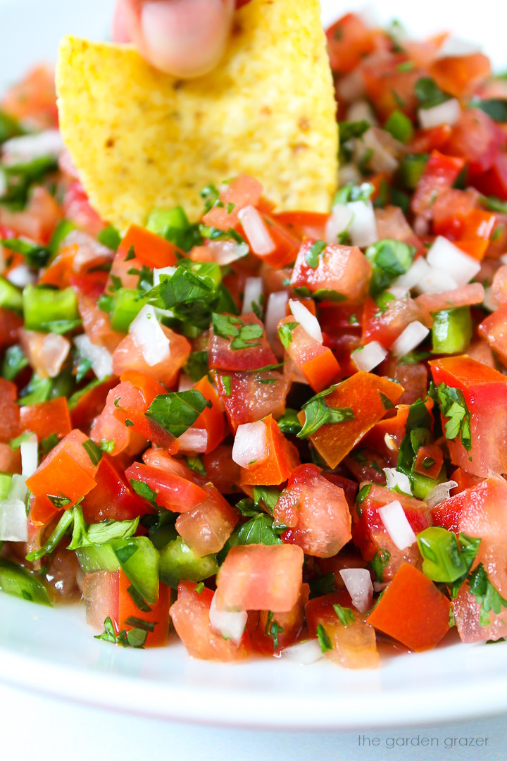 Close up view of a tortilla chip dipping into fresh salsa fresca in a serving bowl
