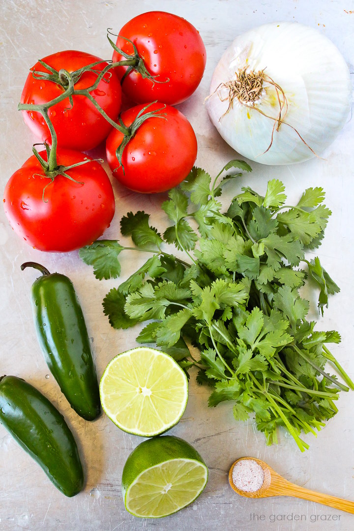 Vine tomatoes, white onion, fresh cilantro, jalapeno, lime, and salt ingredients laid out on a metal tray