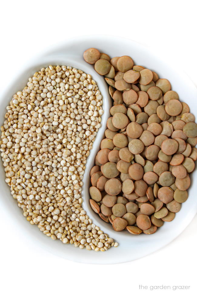 Dry white quinoa and brown lentil ingredients in a bowl together