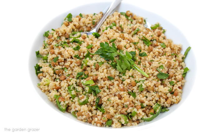 Bowl of vegan lentil quinoa salad with garlic-Dijon dressing