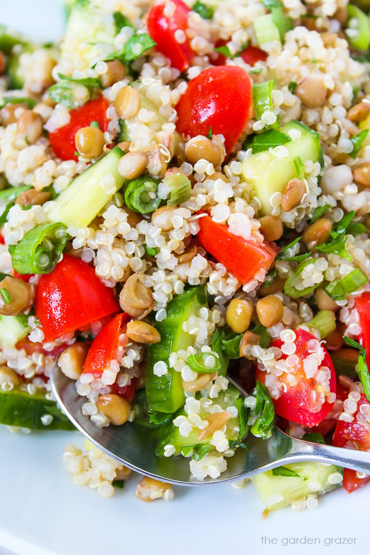 Close up view of lentil quinoa salad on a white plate with serving spoon