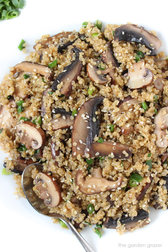 White plate with toasted quinoa and mushrooms