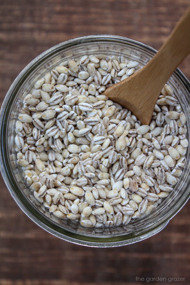 Raw pearled barley ingredient in a glass jar with wooden spoon