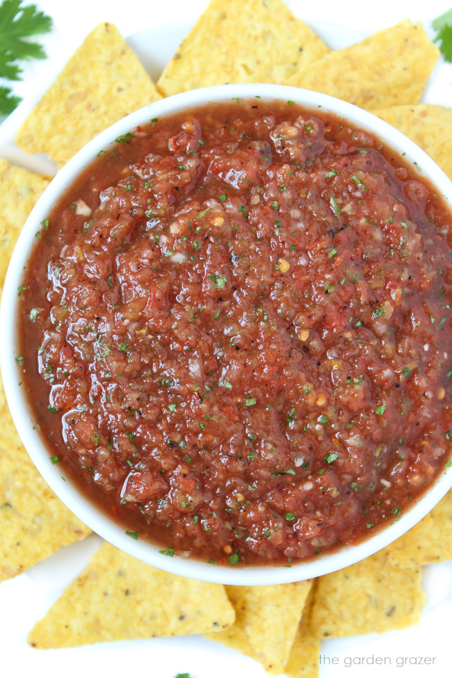 Bowl of blender salsa with chips