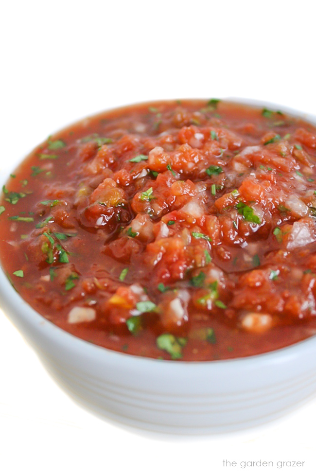 Bowl of restaurant blender salsa