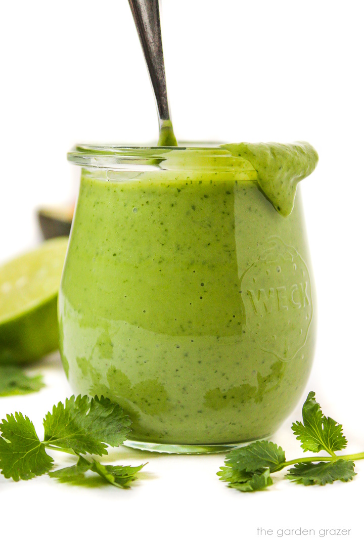 Jar of creamy cilantro-lime dressing with fresh cilantro in front
