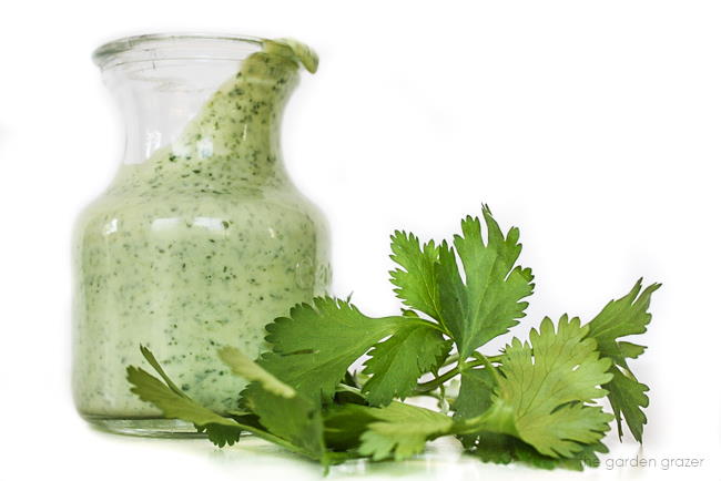 Jar of blended homemade cilantro lime dressing