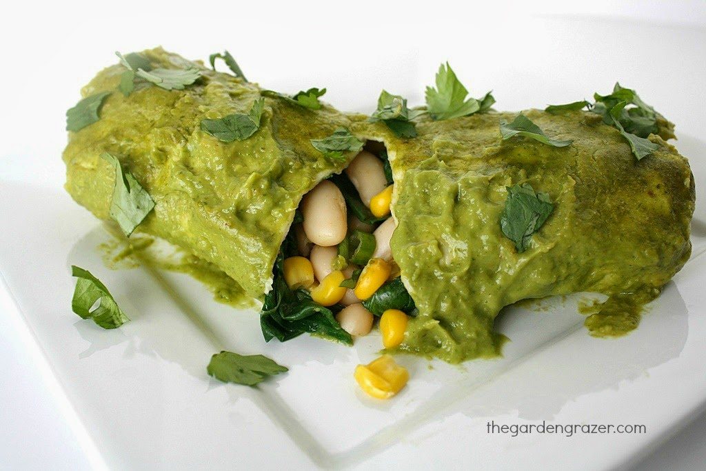 Vegan white bean enchiladas on a plate with cilantro