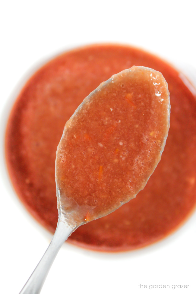 Spoonful of oil-free tomato balsamic dressing