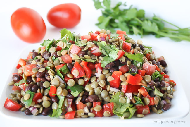 Plate of black bean lentil salad topped with cilantro