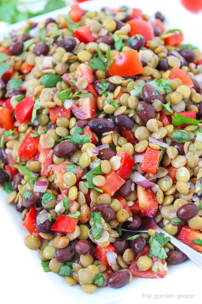 plate of vegan black bean lentil salad with tomato and cilantro