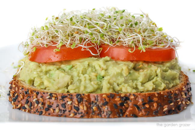 Chickpea avocado mash sandwich on a plate