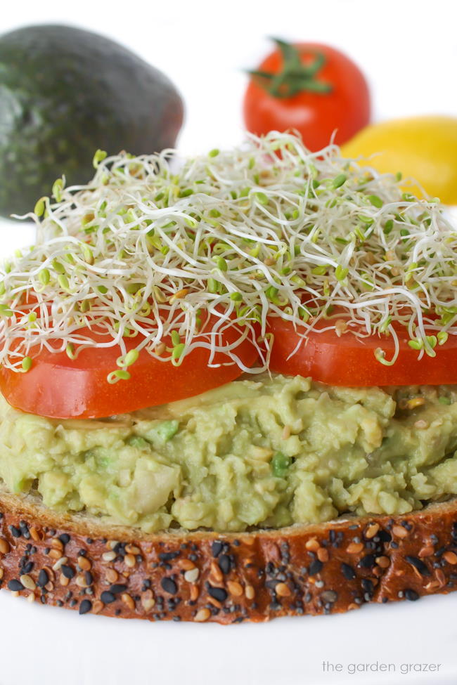 Chickpea avocado mash on bread with tomato and sprouts