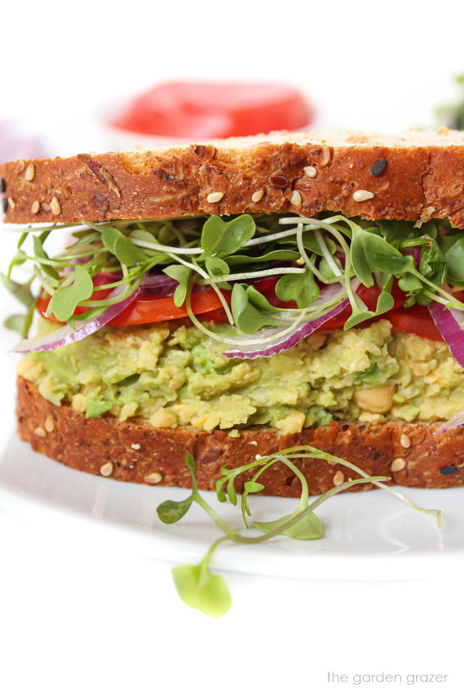 Vegan chickpea avocado mash sandwich with sprouts and tomato on a white plate