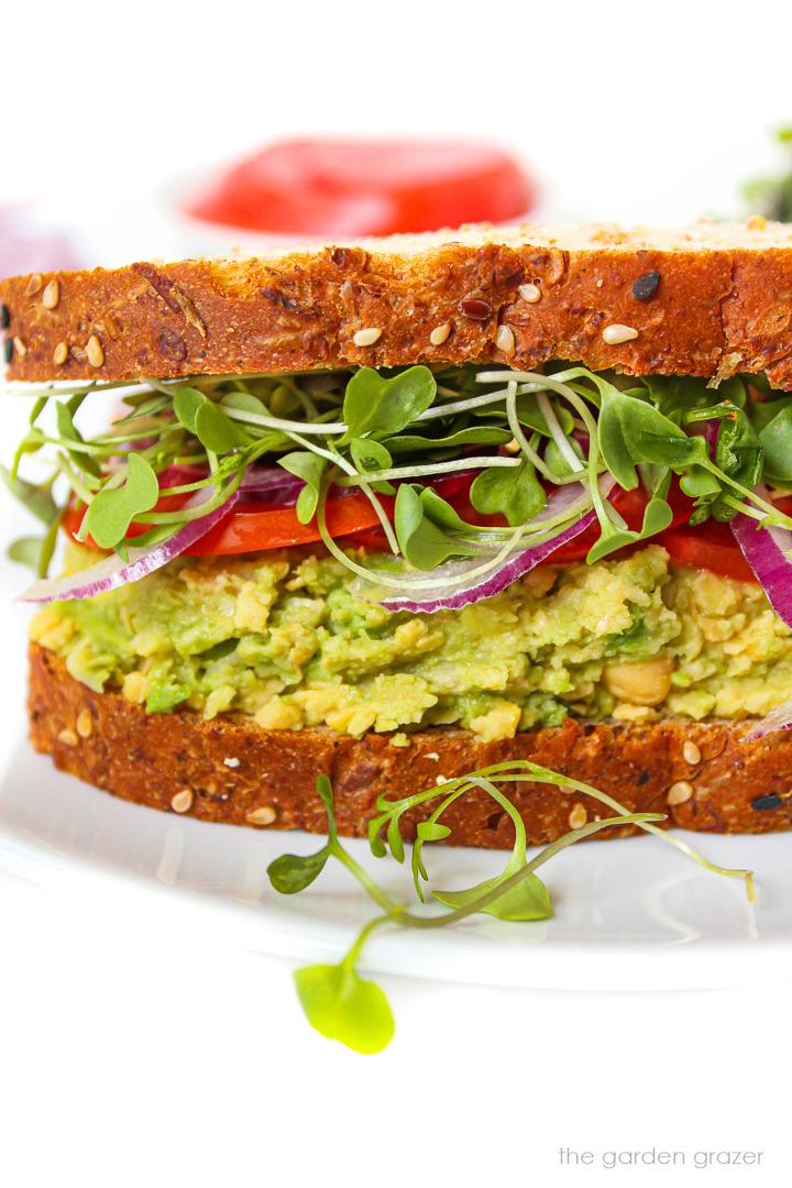 Vegan chickpea avocado mash sandwich with sprouts and tomato on a white plate
