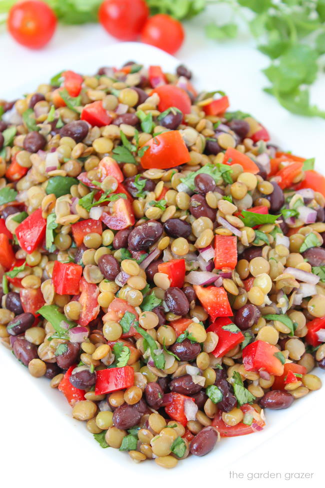 Lentil salad with black beans, tomato, and cilantro on a plate