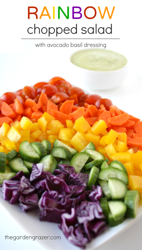 Vegan rainbow chopped salad with lemon basil dressing on the side