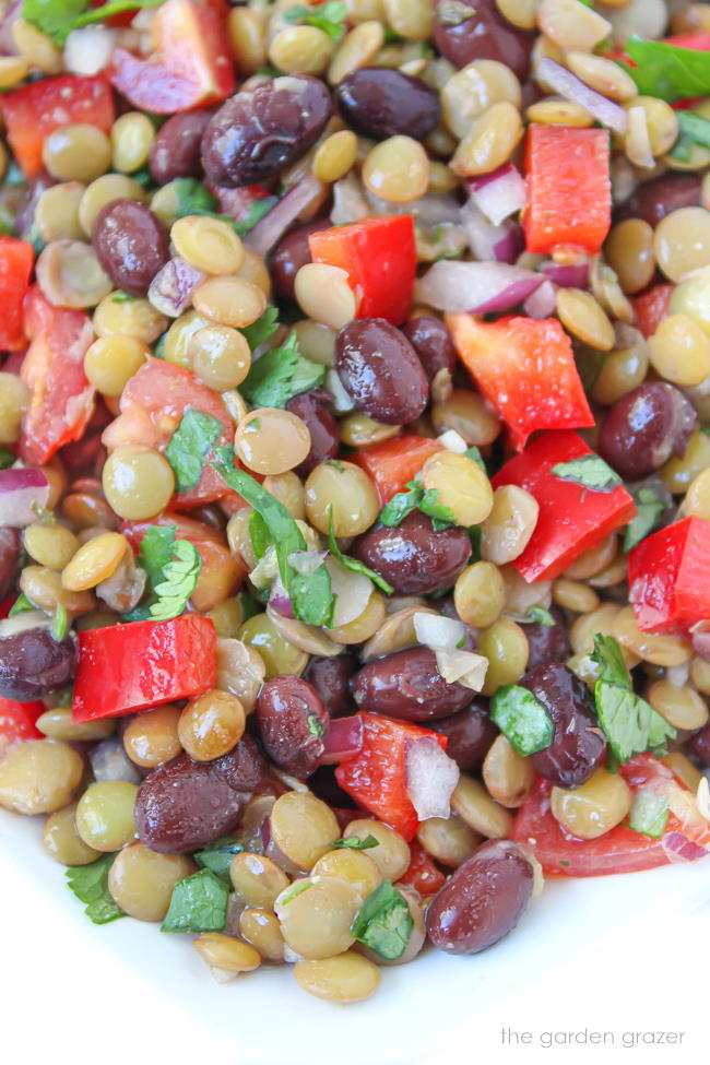 Vegan black bean lentil salad on a plate