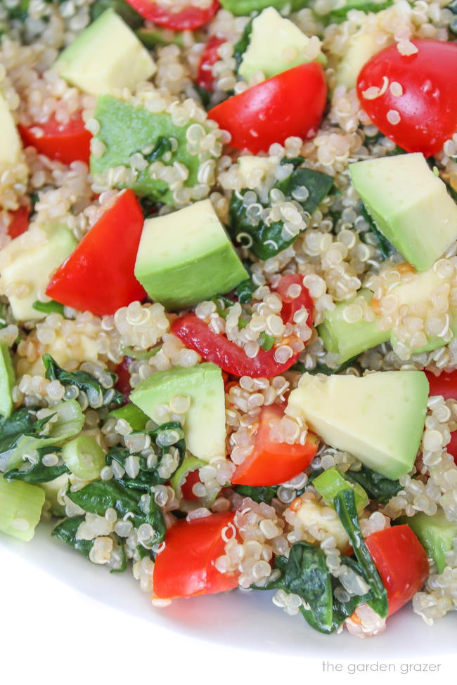 Bowl of vegan quinoa avocado salad with tomato and spinach