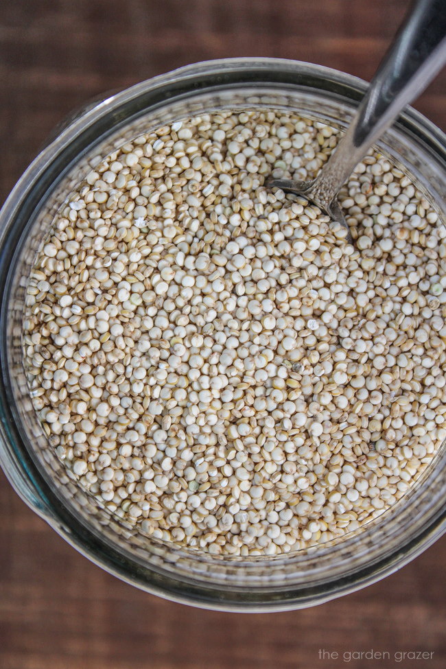 Uncooked white quinoa in a glass jar on wooden table