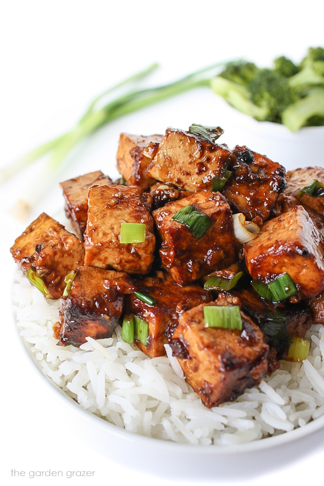 A bowl with white rice topped with tofu and green onions