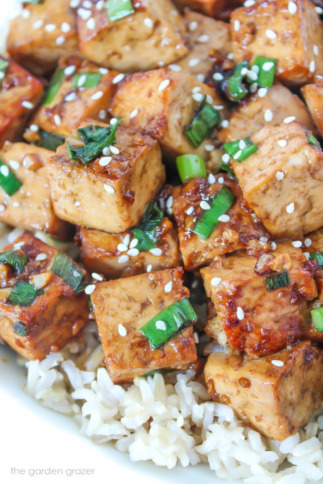 Close up view of Asian-style garlic tofu cubes on brown rice