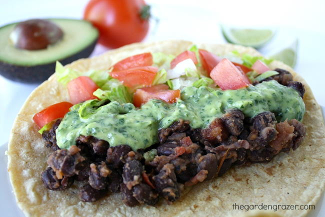 Black bean taco topped with avocado sauce