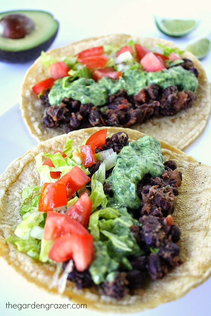 Two black bean tacos on a plate topped with cilantro sauce and tomatoes