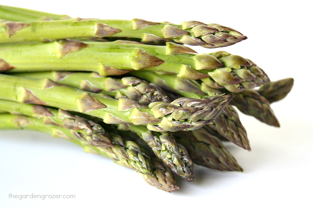 Fresh asparagus spears