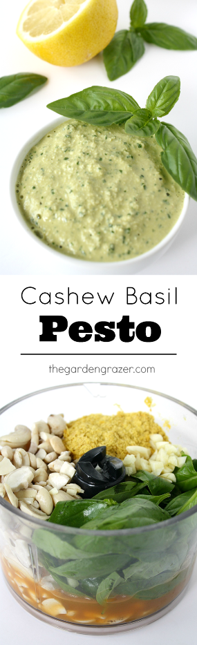 Vegan cashew basil pesto photo collage