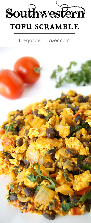 Vegan southwest tofu scramble on a plate