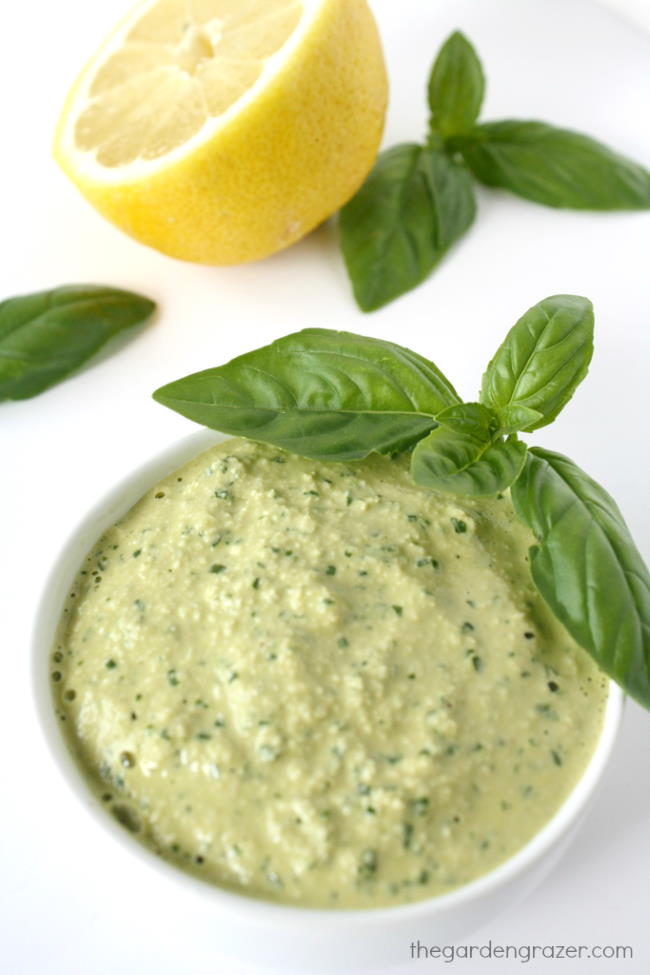 Small white bowl of vegan pesto with cashews, basil, and lemon