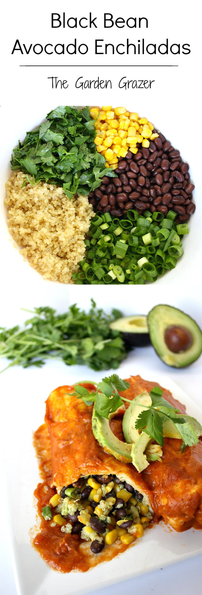 Black Bean Avocado Enchiladas (Vegan) The Garden Grazer