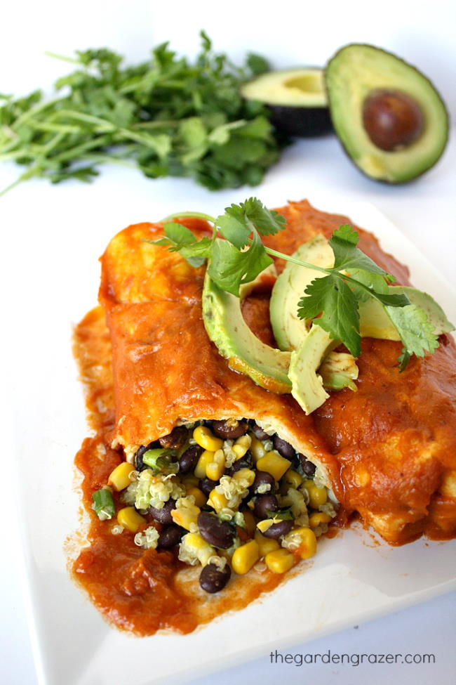 Black bean and avocado enchiladas with homemade sauce on a plate