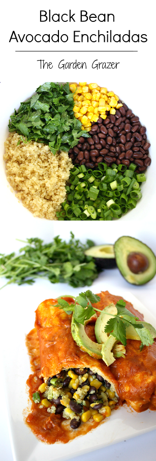 photo collage of black bean avocado enchiladas with homemade enchilada sauce
