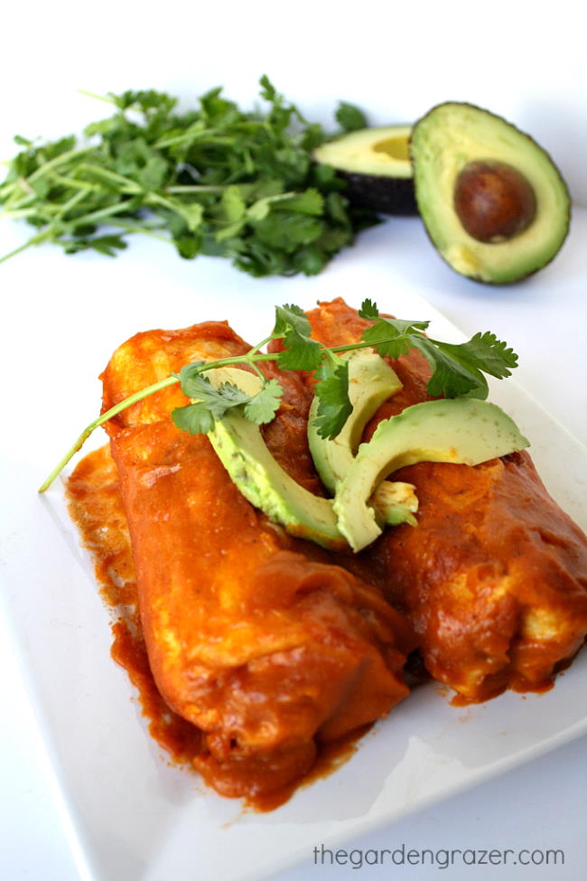 Plate of black bean avocado enchiladas with fresh cilantro on top