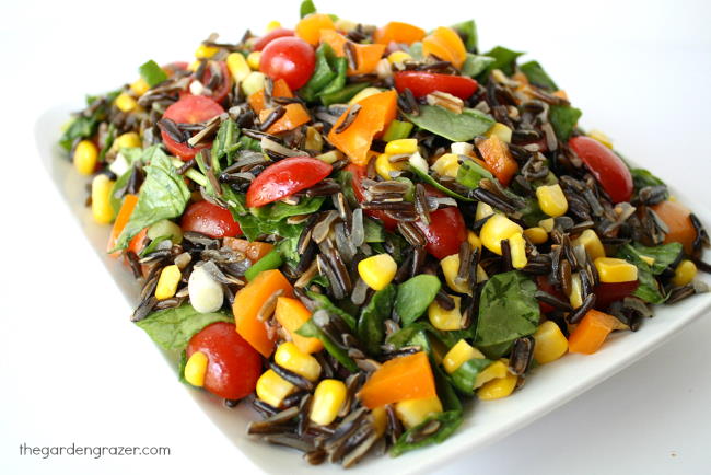 Plate of vegan wild rice spinach salad with tomatoes