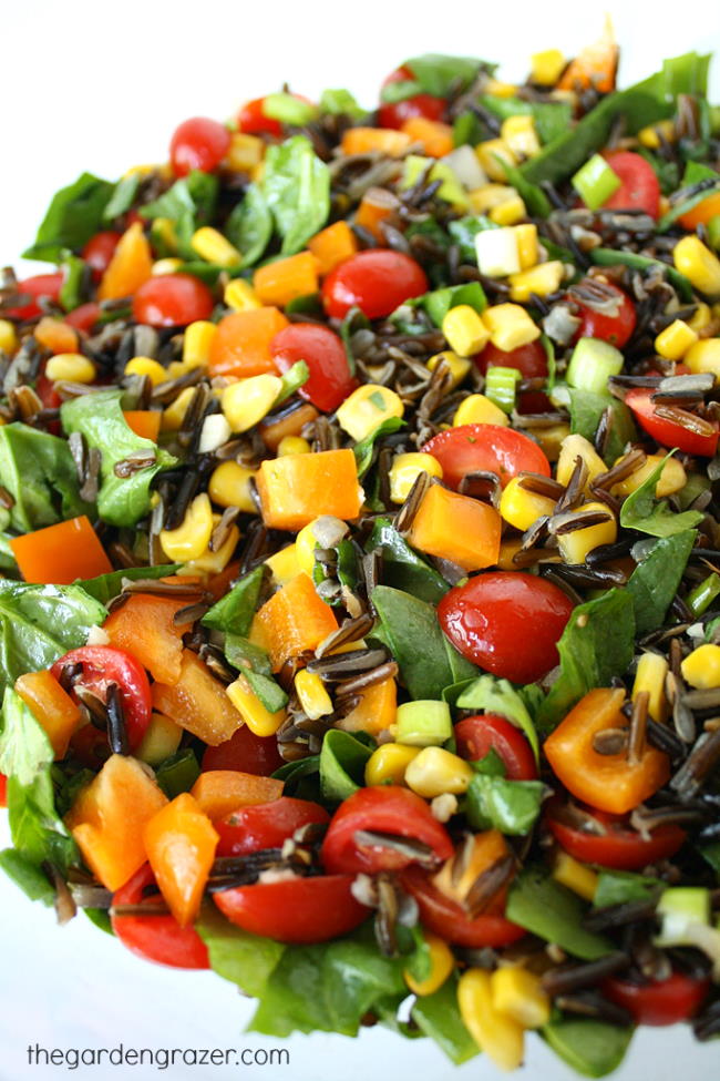 Vegan wild rice salad with spinach and vegetables on a white plate