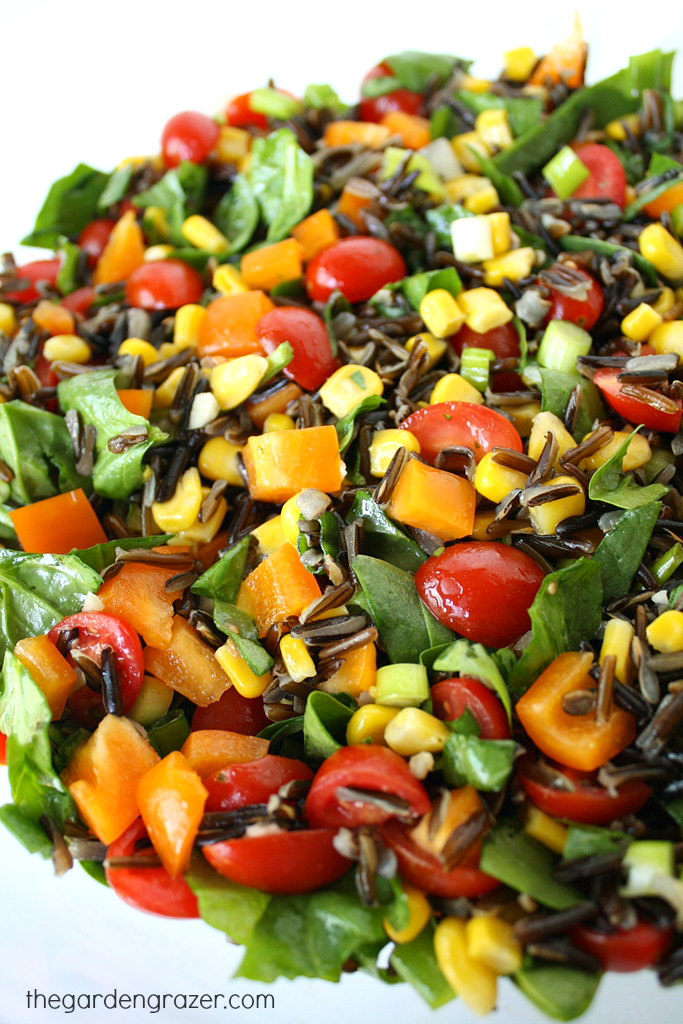 Vegan wild rice salad with spinach and vegetables on a plate