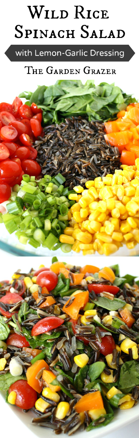 Vegan wild rice salad photo collage