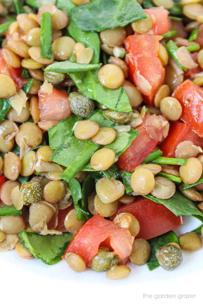 Plate of lentil balsamic salad with spinach and tomatoes