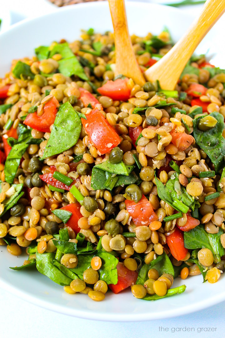 Close up view of lentil spinach salad with capers and tomatoes on a white plate