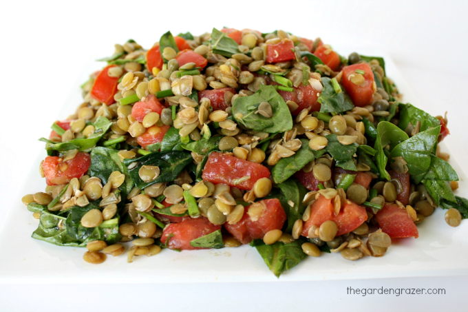 Side view of Vegan Lentil Caper Salad on a plate