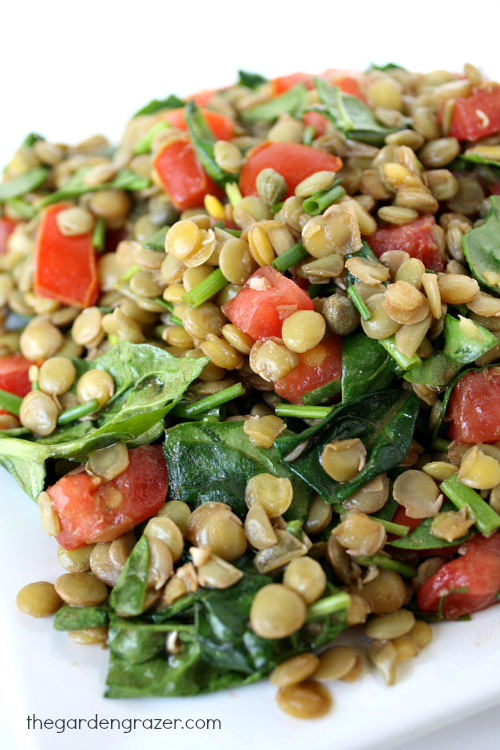 Lentil salad on a plate with tomatoes, spinach, and capers