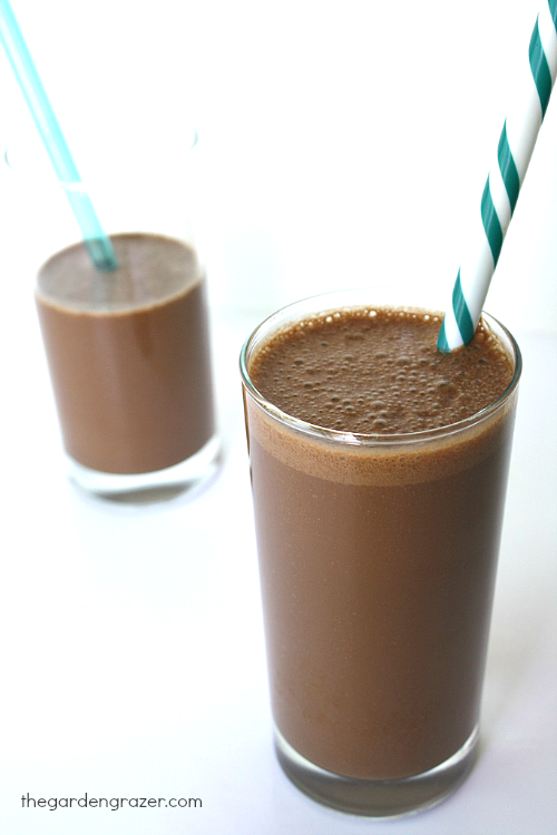 Two vegan chocolate milkshakes in glasses