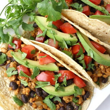 Vegan black bean tempeh tacos on a plate with cilantro garnish