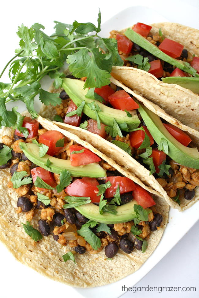 Vegan black bean tempeh tacos on a plate with cilantro garnish